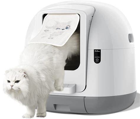 best electric cat box|self cleaning litter box sale.